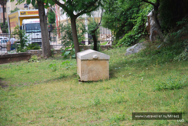 photo 1426688