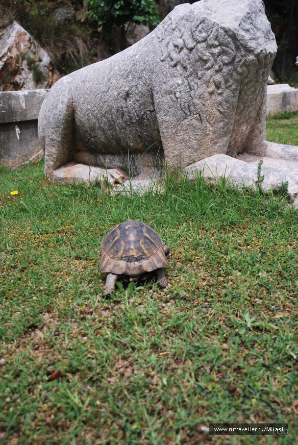 photo 1426692