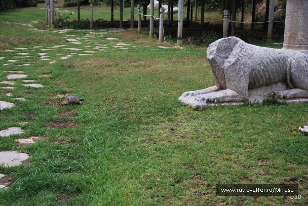 photo 1426693