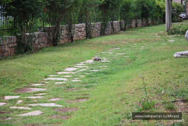 photo 1426694