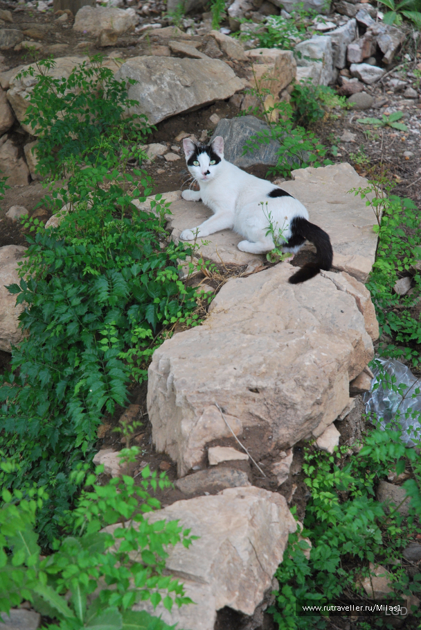 photo 1426698