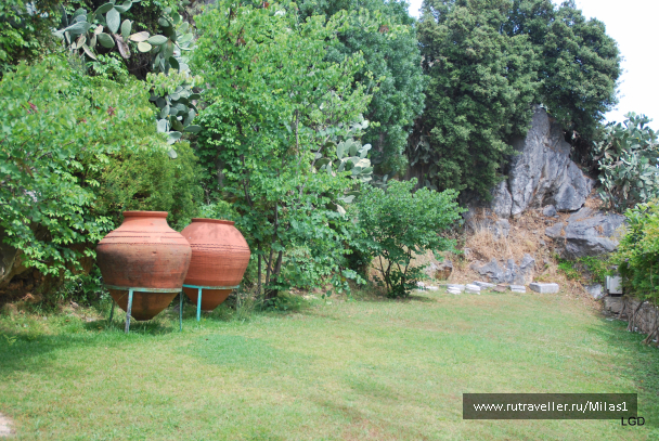 photo 1426699