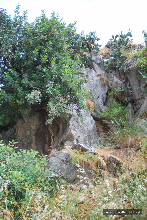 photo 1426705