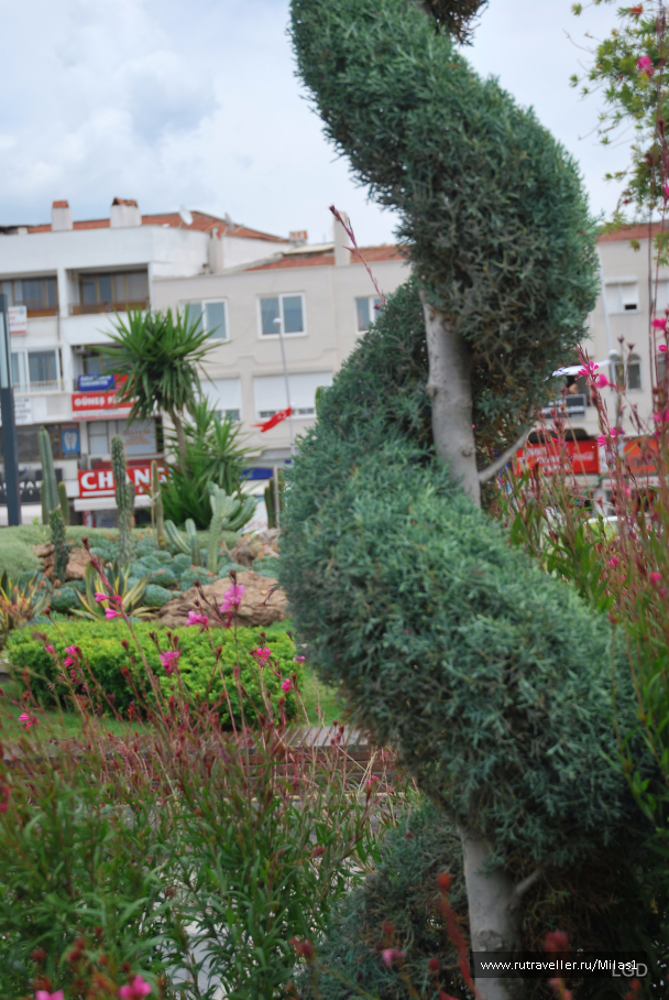 photo 1426710