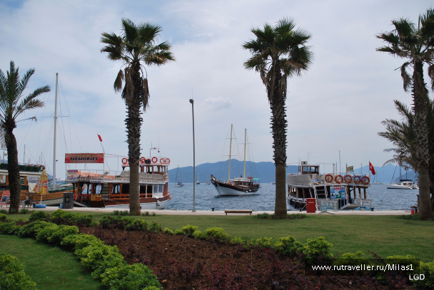 photo 1426714
