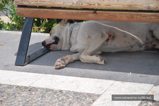 photo 1426715