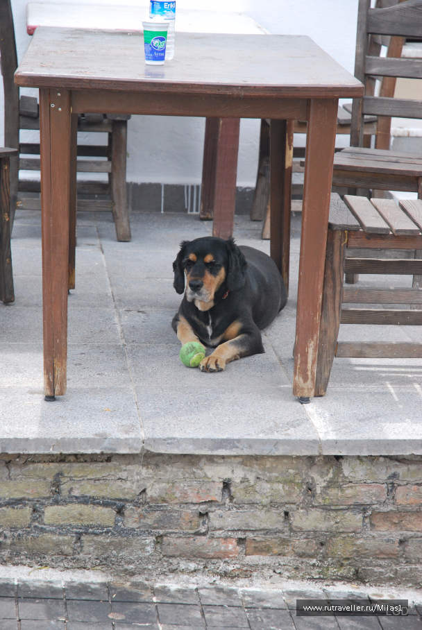 photo 1426722