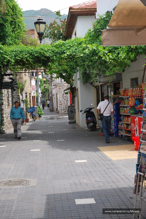 photo 1426724