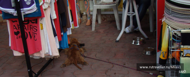 photo 1426926