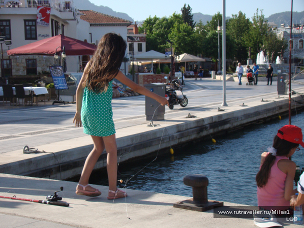 photo 1426933