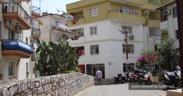 photo 1426954