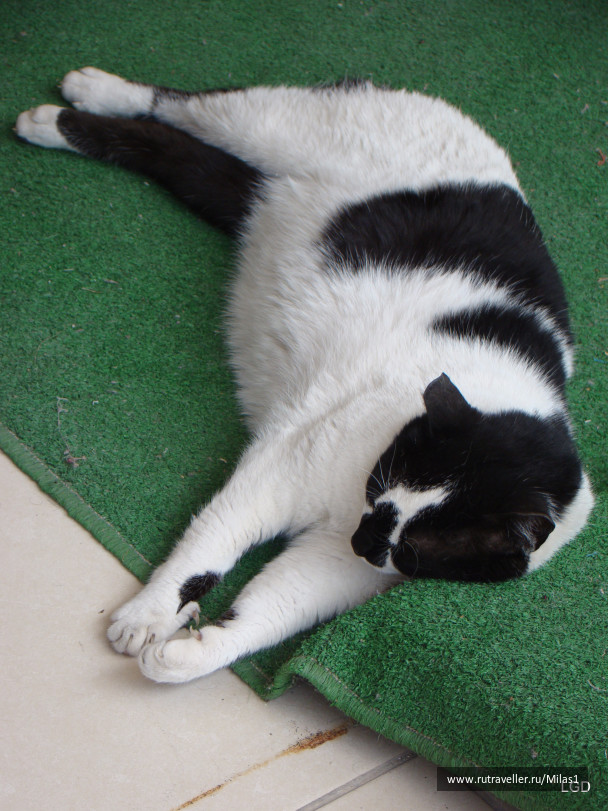 photo 1426956