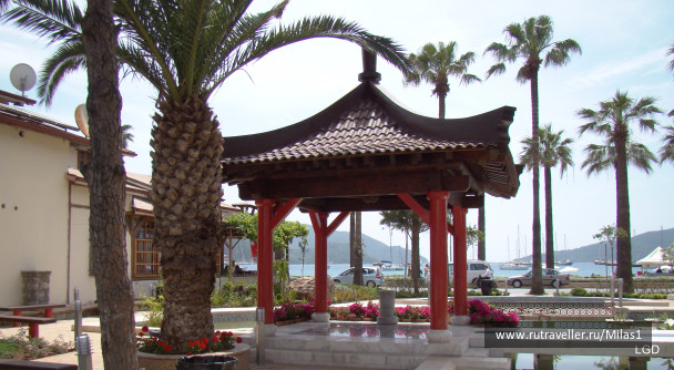 photo 1426963