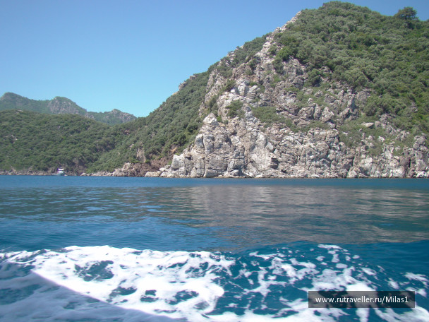 photo 1428803