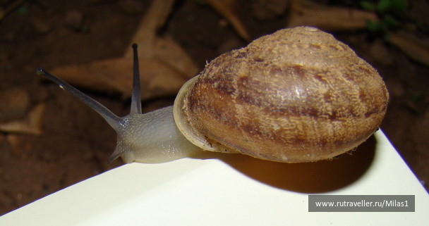 photo 1428809