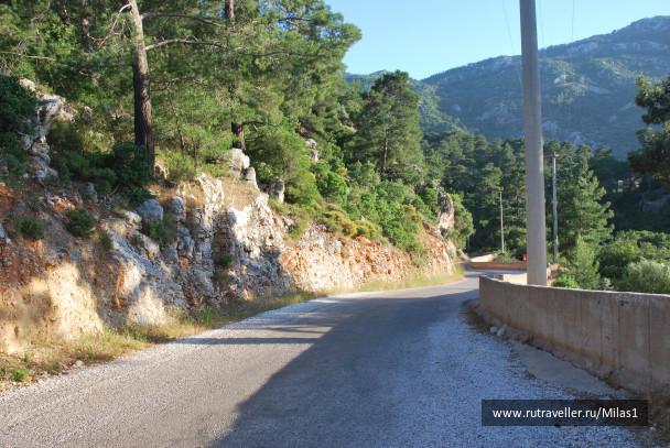 photo 1428815