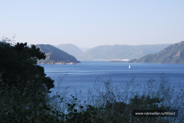 photo 1428817