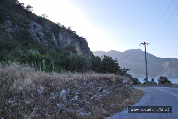 photo 1428822