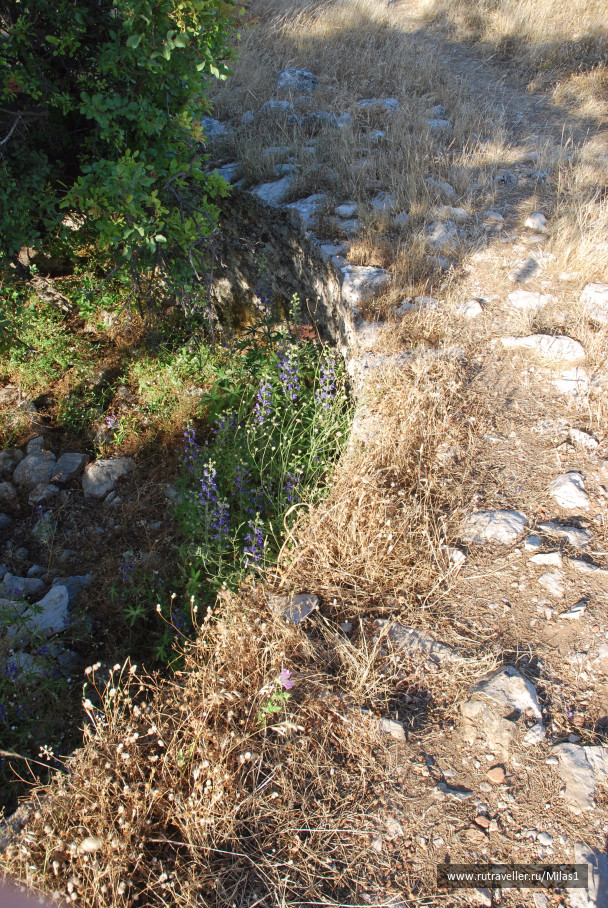 photo 1428829