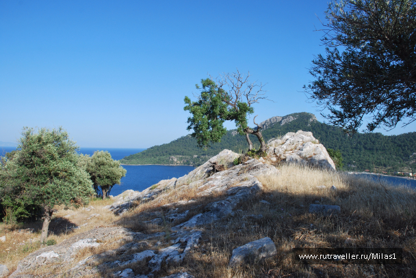 photo 1428834