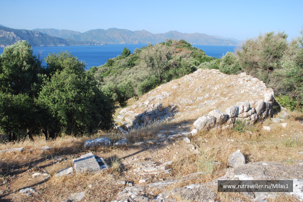 photo 1428842