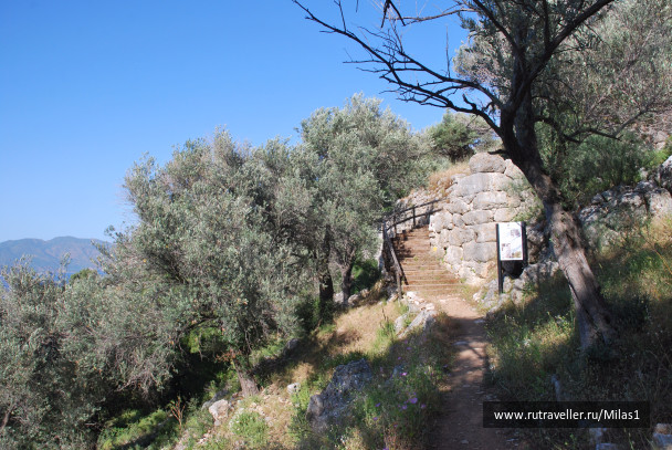 photo 1428853