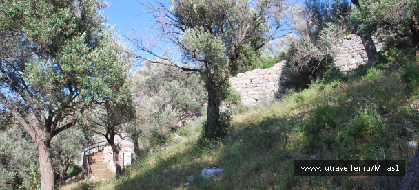photo 1428854