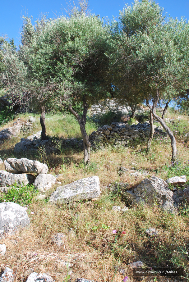 photo 1428858