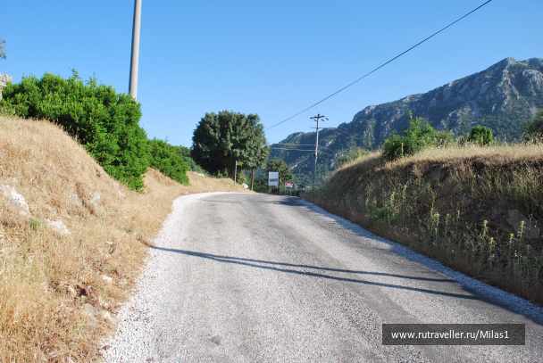 photo 1428863
