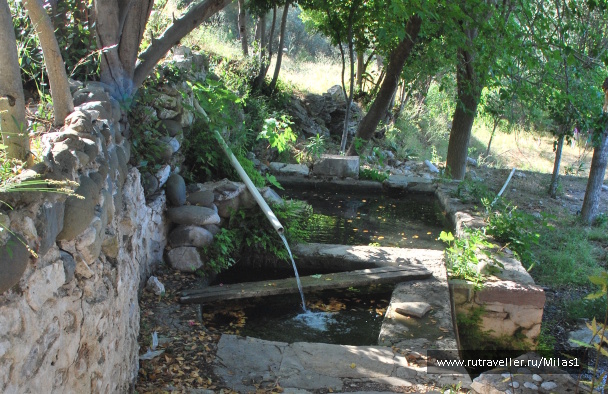 photo 1428864