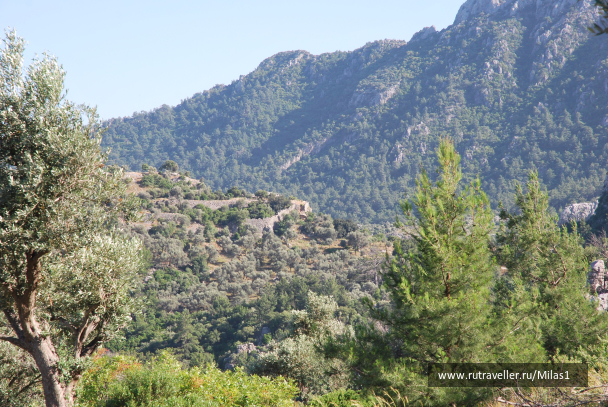 photo 1428867