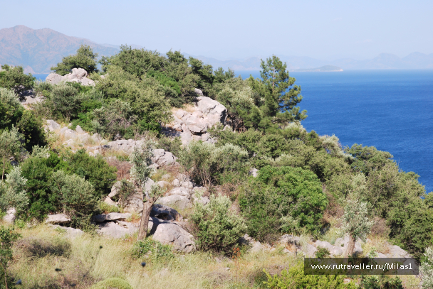 photo 1428871