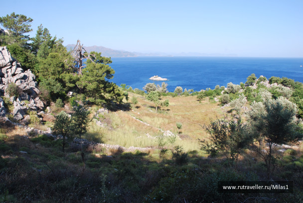 photo 1428874