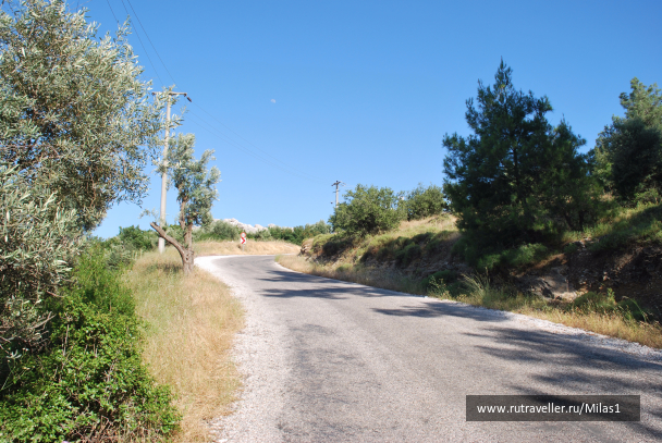 photo 1428876