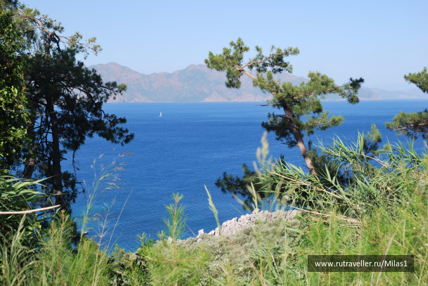 photo 1428878