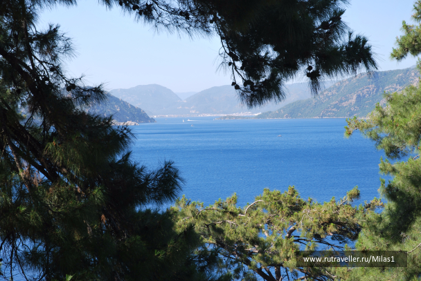 photo 1428879