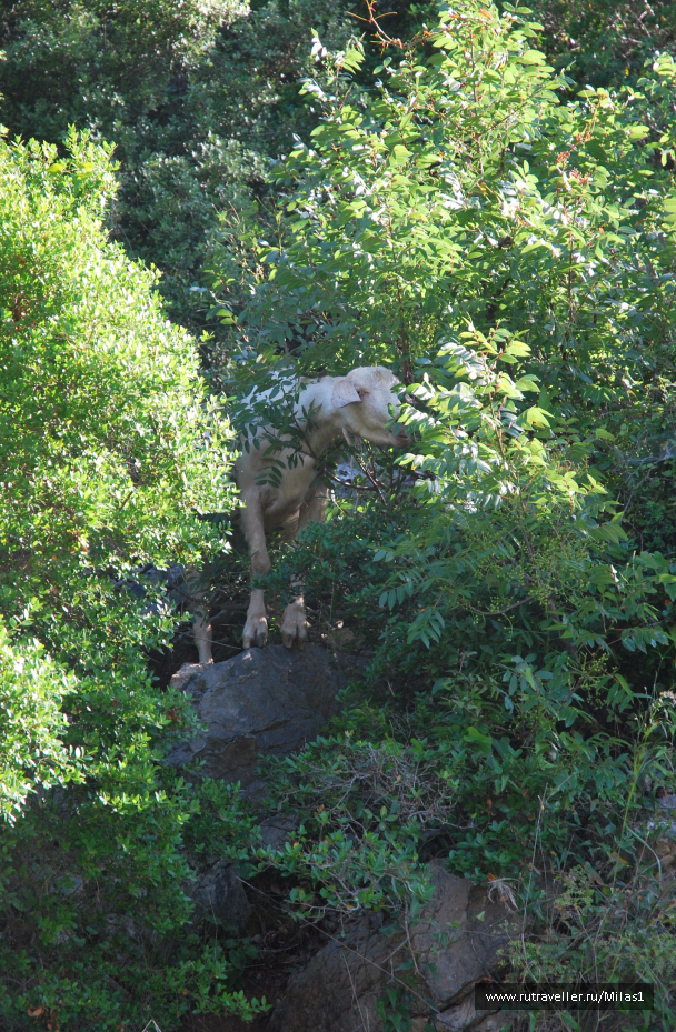 photo 1428881