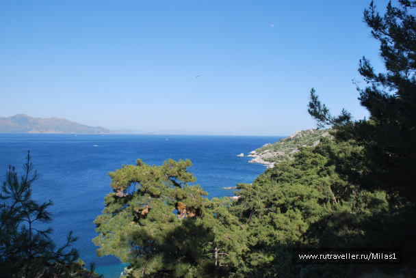 photo 1428883