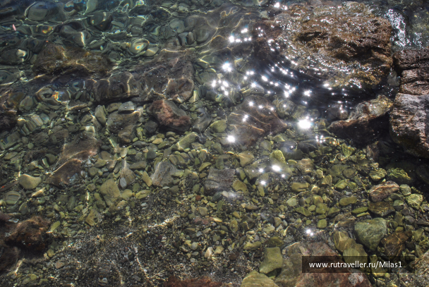 photo 1428913
