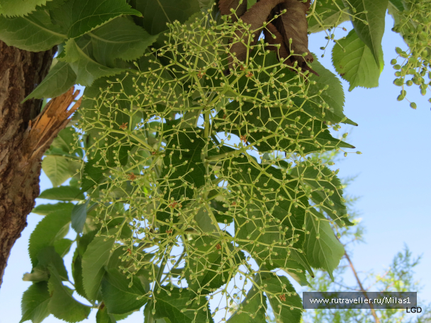 photo 1430983