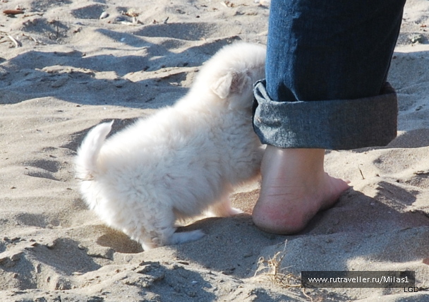 photo 1431169