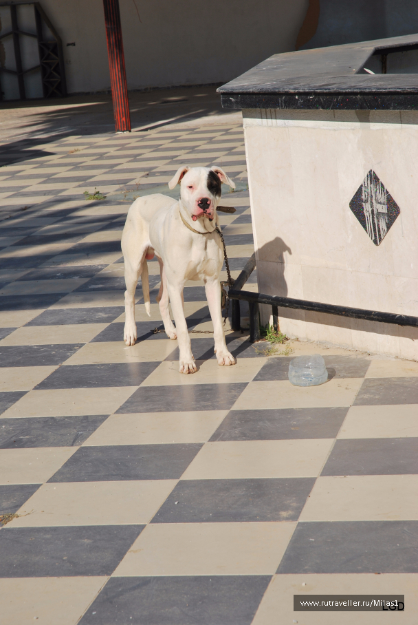 photo 1431175