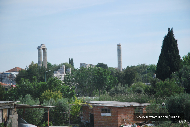 photo 1431341
