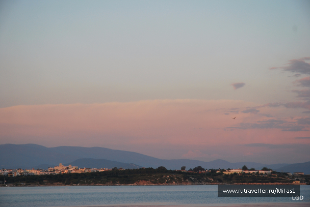 photo 1431342