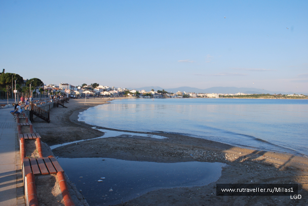 photo 1431356