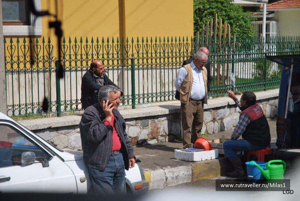 photo 1433454