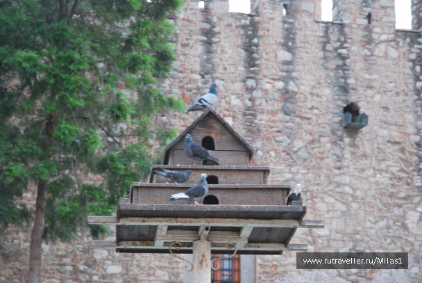 photo 1433490