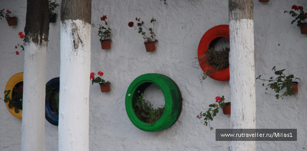 photo 1433495