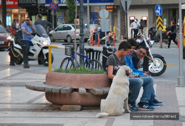 photo 1433497