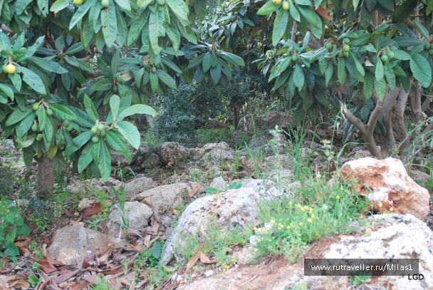 photo 1476172
